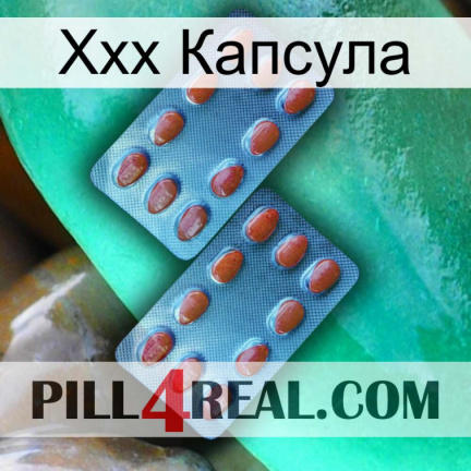 Ххх Капсула 05